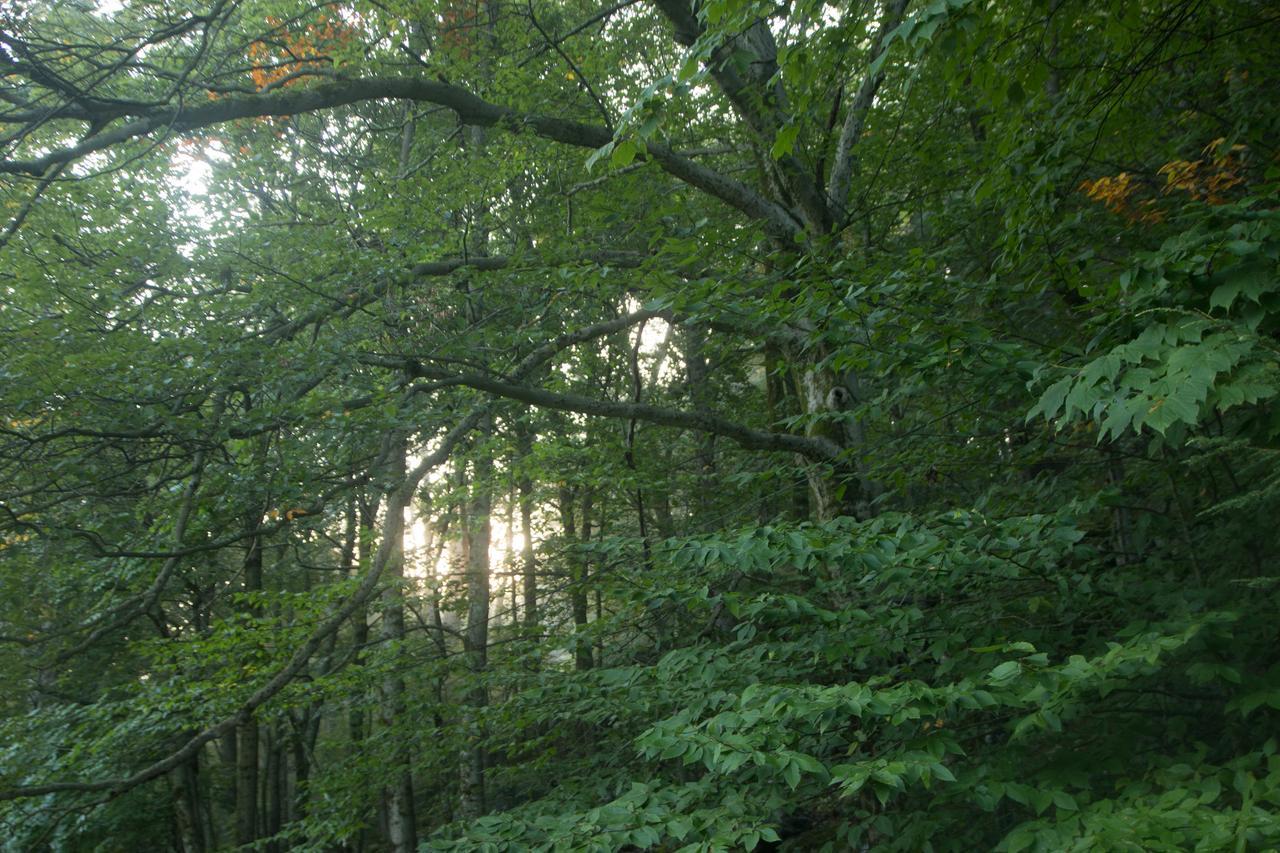 Mountain View Green Retreat Norfolk Zewnętrze zdjęcie